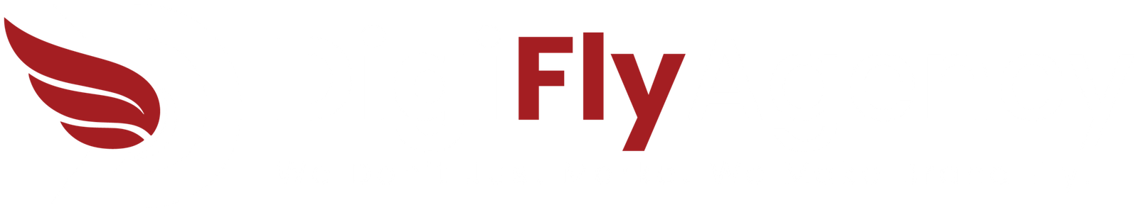 DigiFly Agency logo