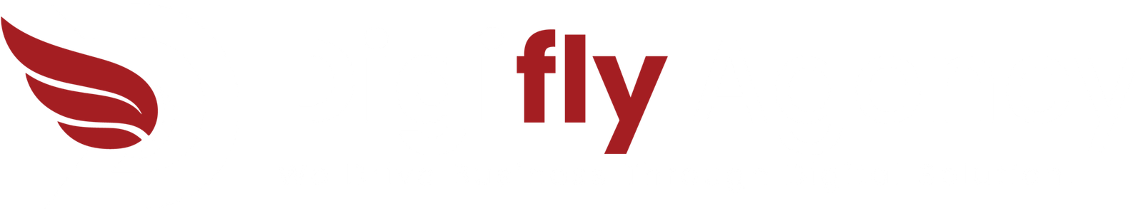 DigiFly Agency logo